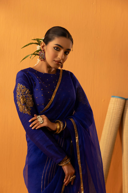 Neeltara Magnetic Blue Embroidered Saree Set